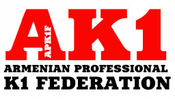 Professional K-1 Federation