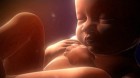 Ամբողջ հղիությունը՝ 4 րոպեում (տեսանյութ)