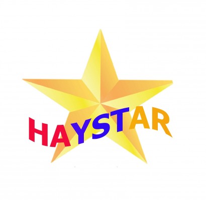 Ի՞նչ կա haystar-ում