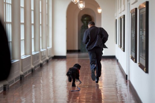 2009-ի մարտի 15. Օբաման Սպիտակ տան միջանցքում վազում է իր շան հետ: