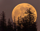 Նոյեմբերի 14-ին լուսինը կլինի ամենամեծը վերջին 70 տարիների ընթացքում