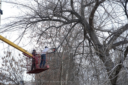 03.03.18 #Մայրաքաղաքհաղորդաշար. մարտի 1-ից մեկնարկել է ծառերի գարնանային էտը