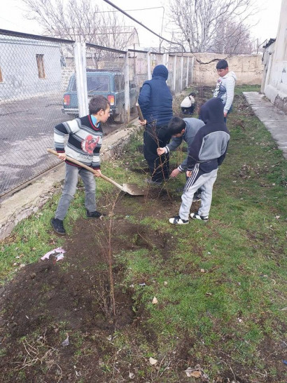 Համագործակցություն Armenia tree project կազմակերպության հետ