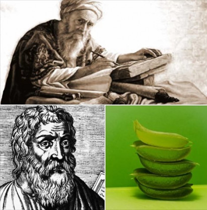 Гиппократ, Авиценна и алоэ столетник