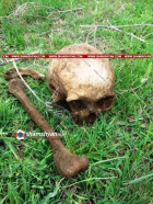 Առեղծվածային դեպք Արարատի մարզում. Սիս գյուղում աղվեսի կասկածելի բույնը քանդելիս հայտնաբերվել են մարդու գանգ և ոսկրային մասեր. ՖՈՏՈՌԵՊՈՐՏԱԺ