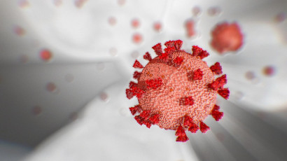 В настоящее время идет работа по созданию специфических лекарственных средств против нового коронавируса