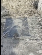 Լաչինում ադրբեջանցին գտել է հին ադրբեջանական գերեզմանոց, որտեղ ոչ մի շիրիմ պղծված չի հայերի կողմից