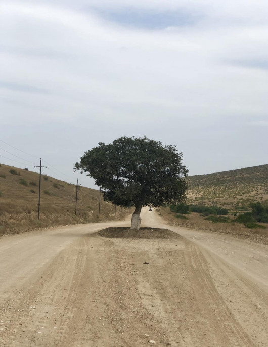 «ՀՈՒՄԱՆԻՏԱՐ ԱՂԵՏ» ՕՊԵՐԱՑԻԱ ԱԴՐԲԵՋԱՆՑԻ ՊՍևԴՈ-ԲՆԱՊԱՀՊԱՆՆԵՐԻ ԿԱՏԱՐՄԱՄԲ