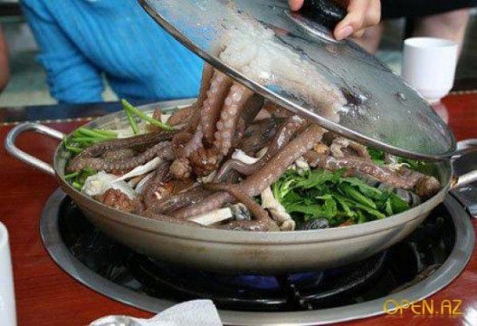 «Сан Нак Джи» «Сан Нак Джи» или попросту блюдо из живого осьминога — популярный деликатес в Корее и Японии. Никаких особых кулинарных изысков: осьминог подается к столу еще