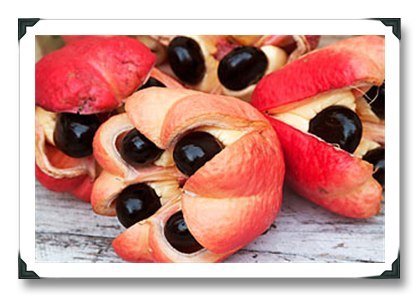 Фрукт аки — родом из Западной Африки и широко используется в традиционной кухне Ямайки.Внешне фрукт очень похож на обыкновенную грушу, только красного цвета. Собирать его нужно в ст