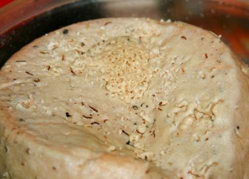Casu Marzu — это овечий сыр из Сардинии. Особенность его заключается в том, что он заражен сырными мушками. Вообще он запрещен и продается только нелегально. Вживленные в сыр личинки усилив