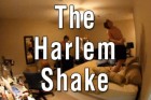 Gangnam Style-ի պարոդիստները անցել են Harlem Shake-ին