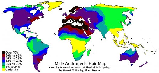 Քարտեզ, որը բնութագրում է երկրներն` ըստ մազեր ունեցող բնակիչների: