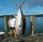 Նոր Զելանդացին որսացել է 335 կիլոգրամանոց թունա ձուկ