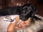 Շունը փրկել է դիաբետով հիվադ քնած տղայի կյանքը