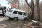 ВАЗ 21 02-ը Սևանի ճանապարհին բախվել է հաստաբուն ծառին. կան վիրավորներ (լուսանկարներ)
